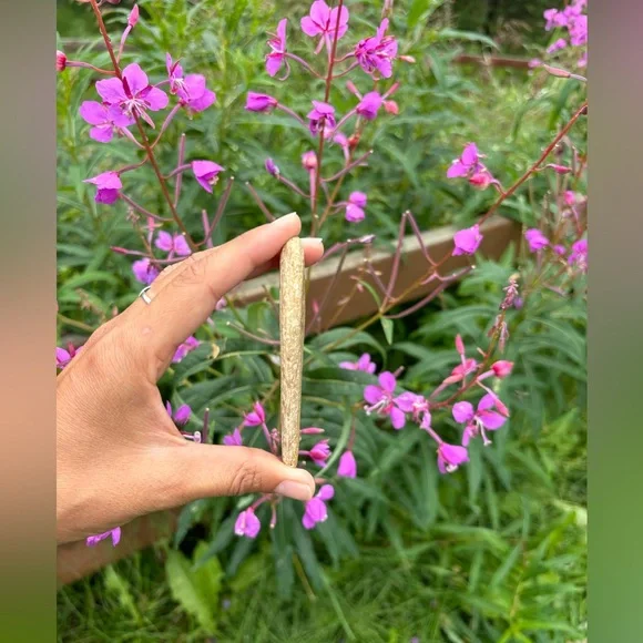 Banded Rhyolite from Alaska - Picture 5 of 5
